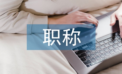 職稱制度論文