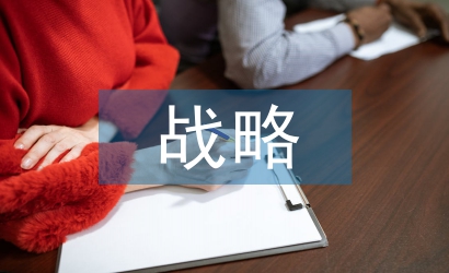 新農(nóng)村戰(zhàn)略