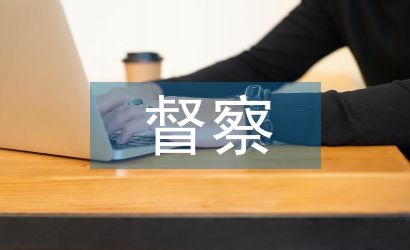 執法督察工作報告