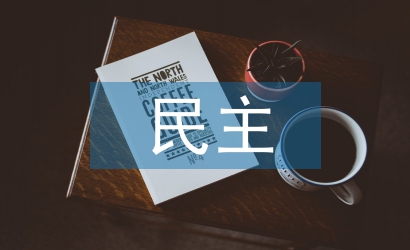 民主政治論文